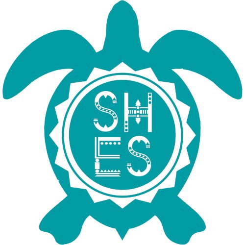  shes sea turtle